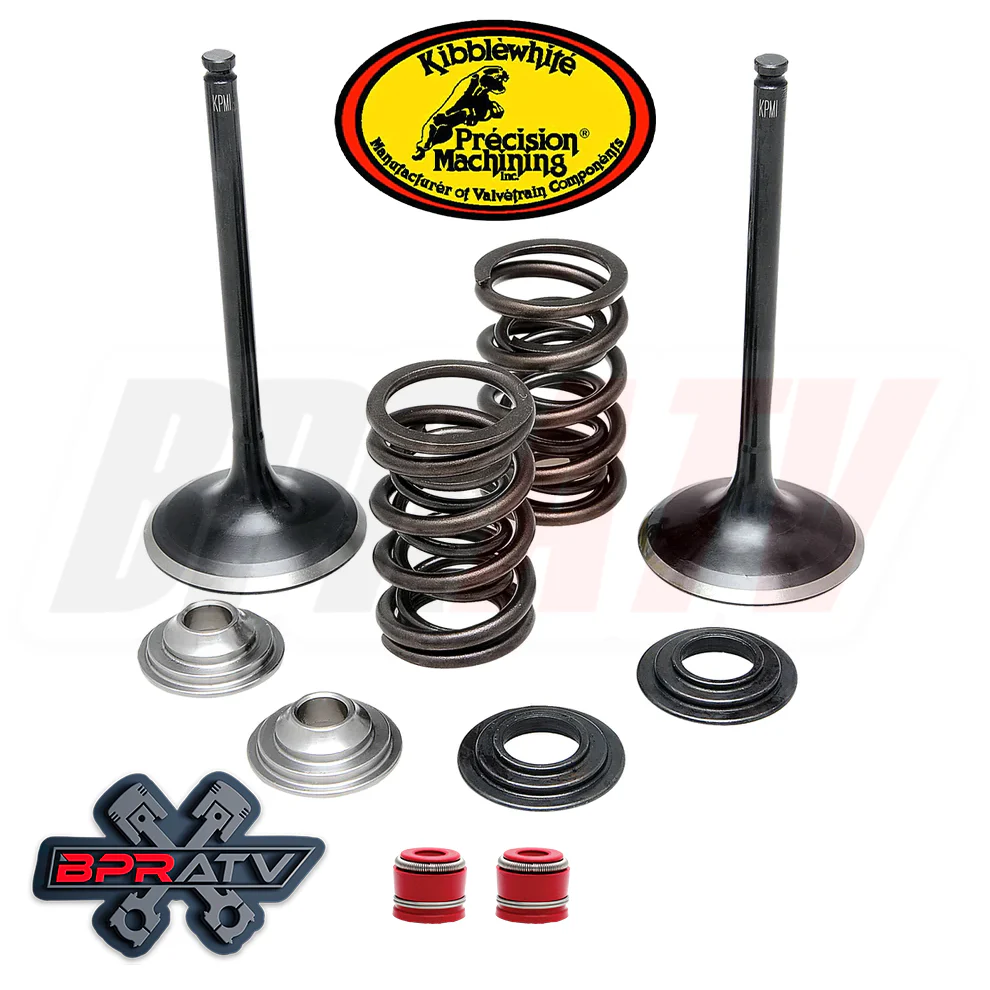 08-20 Suzuki RMZ450 RMZ 450 Stock Kibblewhite Intake Valves Titanium Springs Kit