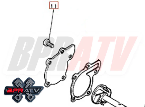 Banshee BILLET Water Pump Gear Impeller Bearing Seal TITANIUM Bolts Upgrade Kit - Image 14