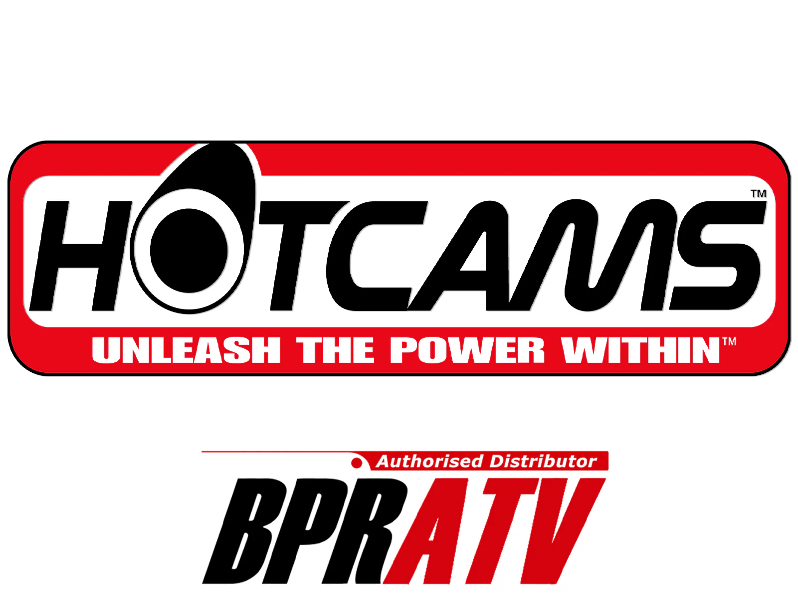 04 05 Honda TRX450R TRX 450R ER Stage 2 Hotcam Hot Cams Timing Chain SKF Bearing - Image 19