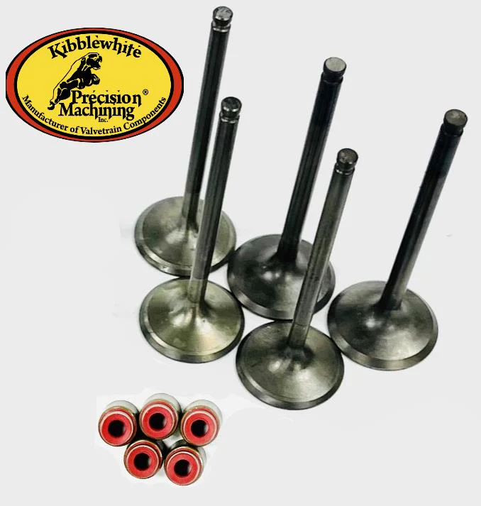 Grizzly Rhino Raptor 660 Kibblewhite Black Diamond 5 Valve Kit Stainless KP Seal - Image 2