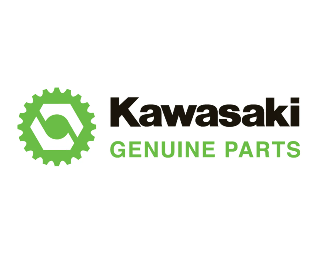 Suzuki LTZ400 Genuine OEM Cam Chain Guides Chain Tensioner Heavy Duty Cam Chain - Image 24
